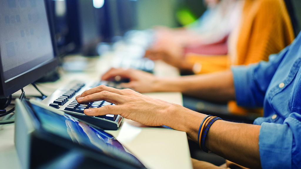 Row of Diverse Group of Multi-Ethnic People Works on PC. Office