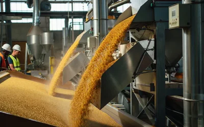 Smart Upgrades for the Production Floor: How Security Cameras Are Redefining Food Safety Compliance